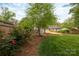 View of the backyard highlighting colorful roses, landscaping and a spacious lawn with plenty of trees and a wooden fence at 6701 Highbrook Dr, Charlotte, NC 28212