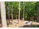 Backyard shows seating area in a wooded lot with a beautiful view of trees at 9810 Daufuskie Dr, Charlotte, NC 28278