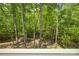 Wooded view from the upper level at 9810 Daufuskie Dr, Charlotte, NC 28278