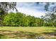 Expansive green field surrounded by lush trees offering privacy at 10316 Whitethorn Dr, Charlotte, NC 28277