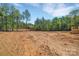 Large lot with a tree line is ready for your imagination and future outdoor oasis at 1119 Stanback Rd, Chester, SC 29730