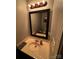 Features a single vanity with vintage fixtures and a framed mirror with decorative lighting at 15003 Jerpoint Abby Dr, Charlotte, NC 28273