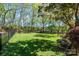 Spacious backyard featuring lush green grass and natural surroundings, great for outdoor activities and relaxation at 1524 Court Cir, Newton, NC 28658