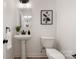 Elegant powder room featuring a pedestal sink, modern fixtures, and stylish wall art at 15906 Youngblood Rd, Charlotte, NC 28278