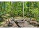 Outdoor fire pit area with chairs, nestled in a tranquil wooded setting at 4516 Stryker Dr, Matthews, NC 28104