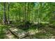 Wooden foot bridge surrounded by lush greenery in a peaceful wooded setting at 4516 Stryker Dr, Matthews, NC 28104