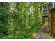 Private backyard surrounded by a lush green forest at 102 Forest Ct, Huntersville, NC 28078