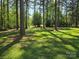 Large, lush yard surrounded by mature trees, offering privacy and natural beauty at 1855 7Th St, Salisbury, NC 28144