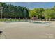 A view of the outdoor community pool surrounded by lush landscaping and mature trees at 324 Quinby Way, Rock Hill, SC 29732