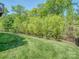 Professionally landscaped backyard featuring lush green grass and a dark metal fence at 4008 Widgeon Way, Waxhaw, NC 28173