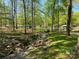 Scenic backyard view with a rocky stream surrounded by lush trees and glimpses of a lake at 531 Hattaway Dr, Mount Gilead, NC 27306