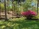 A beautiful view of the home's landscaped yard with a creek and flowering shrub at 531 Hattaway Dr, Mount Gilead, NC 27306