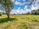 Beautiful backyard featuring a large green field with trees and a clear blue sky at 7516 Pageland Hwy # 3, Monroe, NC 28112