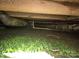 View of under house crawlspace with exposed pipes at 8860 Castor Rd, Salisbury, NC 28146