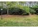 Lush backyard with mature trees and manicured lawn at 14457 Adair Manor Ct, Charlotte, NC 28277