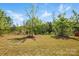 Expansive backyard featuring a manicured lawn, lush greenery, and mature trees, offering a serene outdoor space at 1578 Whitman Ct, York, SC 29745