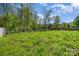 Lush green backyard with a wooden fence, providing privacy and a serene outdoor space surrounded by trees and foliage at 209 Sheffield Dr, York, SC 29745