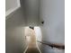 Carpeted staircase with a wooden handrail leading to the upper level of the home at 616 Mountain Quail Dr, Charlotte, NC 28216