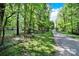 Street view next to a grassy verge and mature trees lining a quiet street at 11914 Rock Canyon Dr, Charlotte, NC 28226