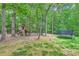 Backyard with mature trees featuring a playground set with swings and a trampoline at 14131 Lea Point Ct, Huntersville, NC 28078
