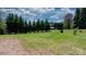 Expansive green backyard with mature trees, creating a peaceful outdoor space at 2003 Cape Hickory Cutoff Rd, Hickory, NC 28601