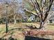 Expansive community green and park-like setting with mature trees and landscaping at 8251 Tradd Ct, Charlotte, NC 28210