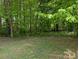 Backyard bordered by a lush green forest at 8332 Highlander Ct, Charlotte, NC 28269