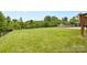 Large, grassy backyard with mature trees, offering ample space for activities and relaxation at 9303 Raven Top Dr, Mint Hill, NC 28227