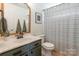 Stylish bathroom with modern fixtures and a decorative shower curtain at 13015 Rothe House Rd, Charlotte, NC 28273