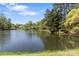Tranquil pond surrounded by mature trees, creating a peaceful and scenic setting at 111 Woodfern Pl, Mooresville, NC 28115