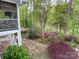 Lush backyard featuring vibrant azaleas, mature trees, and a stone pathway, creating a serene outdoor space at 121 General Pemberton St, Stanley, NC 28164