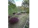 Lush backyard with colorful azaleas, mature trees, and serene landscaping, perfect for enjoying nature at 121 General Pemberton St, Stanley, NC 28164