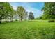 Expansive green backyard with mature trees, offering a serene and picturesque landscape at 123 Coachman Loop, Statesville, NC 28625