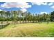 Expansive backyard with lush green grass and mature trees, enclosed by a sleek black fence at 12512 Journeys End Trl, Huntersville, NC 28078