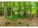 Serene backyard setting with mature trees and garden, offering a peaceful retreat at 14926 Chilgrove Ln, Huntersville, NC 28078