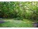 Expansive backyard with lush green grass surrounded by trees, offering a private outdoor space at 1042 Jackson Rd, Fort Lawn, SC 29714