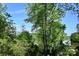 Picturesque lake view framed by lush trees, offering a serene and tranquil ambiance from the property at 1042 Jackson Rd, Fort Lawn, SC 29714