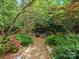 Tranquil backyard with mature trees, natural seating, and a stone walkway at 14220 Stewarts Bend Ln, Charlotte, NC 28277