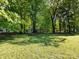 Expansive backyard with mature trees, offering ample space and privacy in a serene setting at 7731 Ivy Hollow Dr, Charlotte, NC 28227