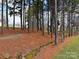 A peaceful community walking path winding through lush trees and alongside a gently flowing creek at 8708 Soaring Eagle Ln, Waxhaw, NC 28173