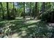 Lush wooded backyard with an exterior shed, providing a serene and private outdoor space at 10708 Danesway Ln, Cornelius, NC 28031