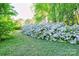 Landscaping featuring a lush green lawn and a vibrant azalea bush, creating a serene outdoor space at 113 Princess Ln, Dallas, NC 28034