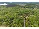 An aerial view of the lush trees with a gravel road leading up to a home near a lake at 124 Neumann Run, Belmont, NC 28012