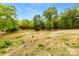 Expansive lot showcasing mature trees and promising ample space for building or recreational activities at 124 Neumann Run, Belmont, NC 28012
