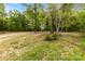 A sprawling lot featuring mature trees and verdant grass, creating an inviting outdoor space at 124 Neumann Run, Belmont, NC 28012
