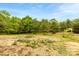 The expansive lot provides a blank canvas with mature trees offering shade and a serene setting at 124 Neumann Run, Belmont, NC 28012