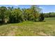 Expansive grassy land with scattered trees offers a serene and private setting at 155 Jackson Rd, Salisbury, NC 28146