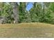 Backyard view of a lush, green lawn surrounded by dense trees and foliage at 1944 Garibaldi Ave, Charlotte, NC 28208