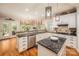 Spacious kitchen with white cabinetry, granite countertops, and stainless steel appliances at 19729 Callaway Hills Ln, Davidson, NC 28036