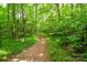Winding nature trail through lush greenery at 19729 Callaway Hills Ln, Davidson, NC 28036